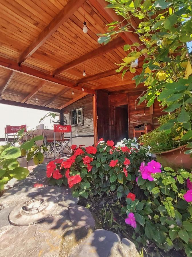 Вілла Cabana La Herencia Сан-Сальвадор-де-Жужуй Екстер'єр фото